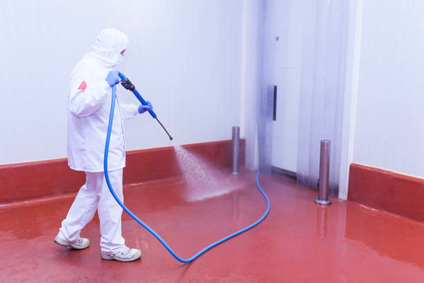 Best Soft Washing  in Apalachicola, FL